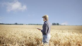 Поздравляем с Днём Фермера!